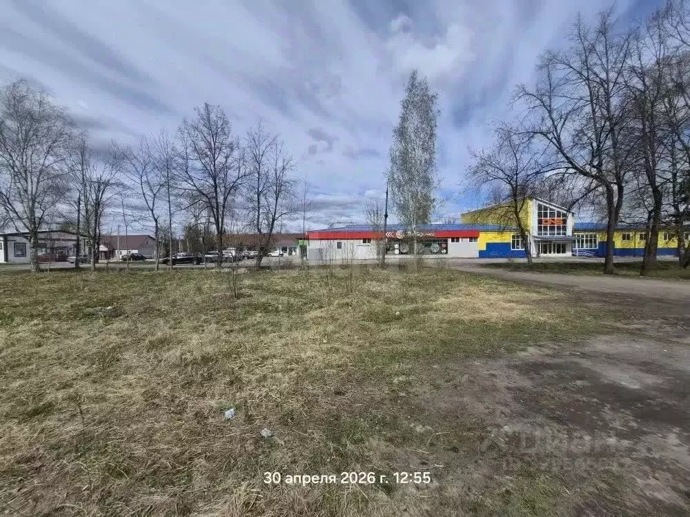 Участок в Псковская область, Дно ул. Космонавтов, 15 (1214.0 сот.) - Фото 1