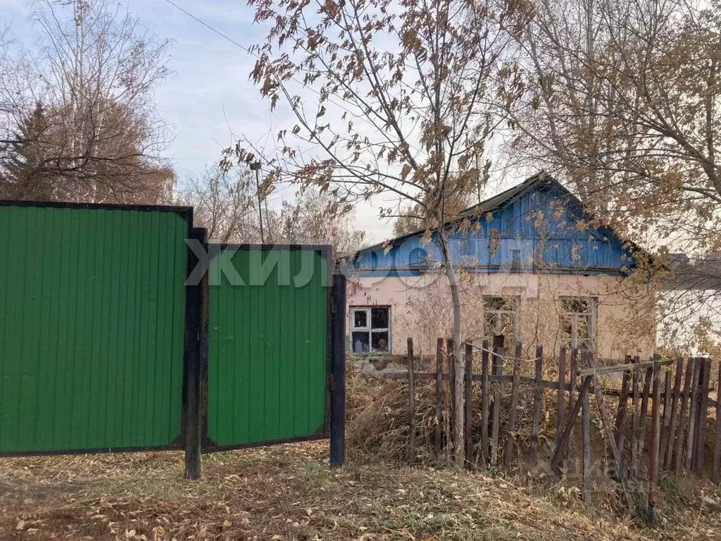 Дом в Новосибирская область, Коченево рп ул. Поселковая (37 м) - Фото 1