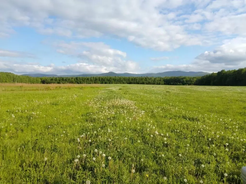 Участок в Хабаровский край, Хабаровский район, с. Бычиха Курортная ... - Фото 2