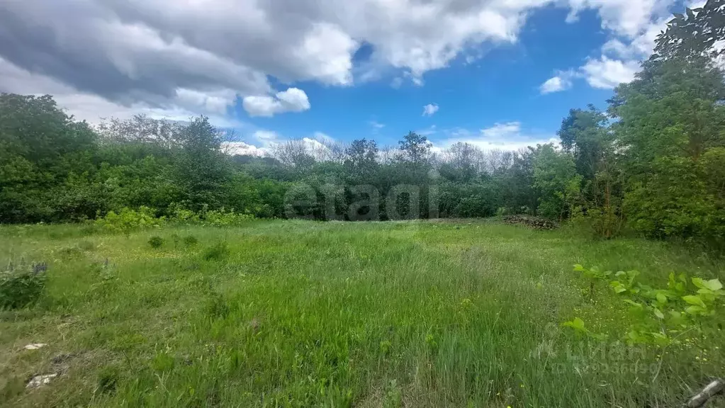Участок в Белгородская область, Строитель Яковлевский городской округ, ... - Фото 1