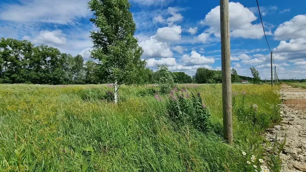Участок в Ленинградская область, Ломоносовский район, Лопухинское ... - Фото 2