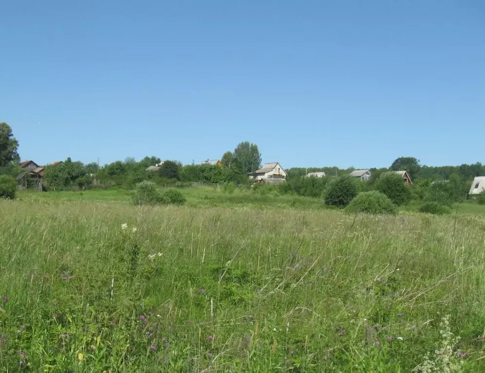 Участок в Ивановская область, Шуйский район, Семейкинское с/пос, д. ... - Фото 2
