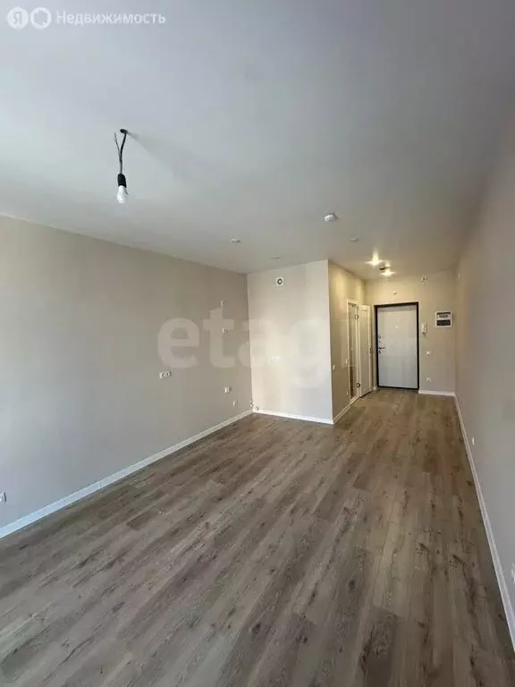 Квартира-студия: Пермь, 3-я Нейвинская улица, 5 (27.7 м) - Фото 1