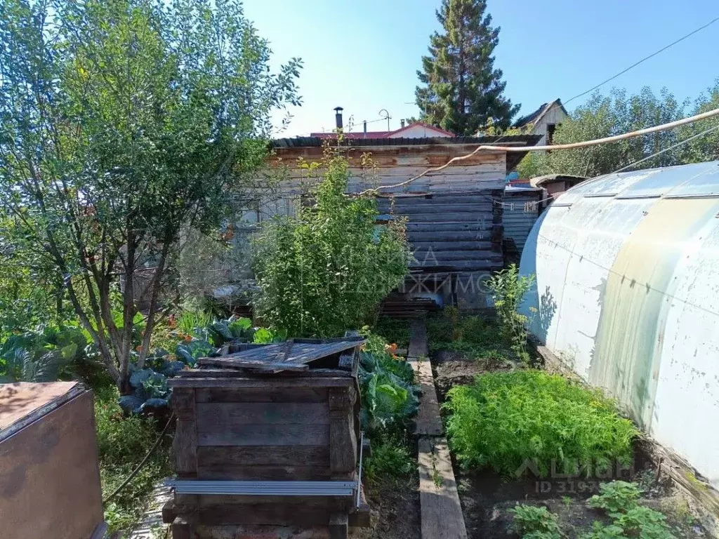 Дом в Тюменская область, Тюмень Строитель-3 СНТ, ул. Солнечная (30 м) - Фото 0