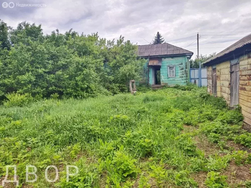 Дом в Грибановский район, село Листопадовка (51 м) - Фото 2