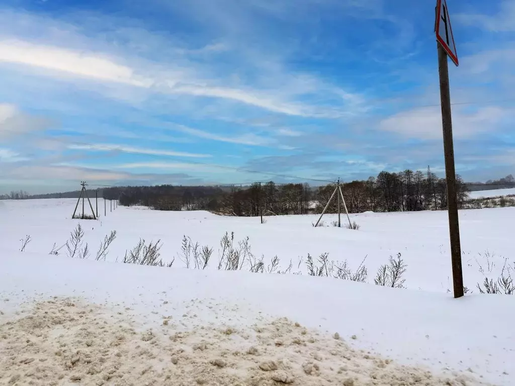 Участок в Московская область, Домодедово городской округ, с. Лобаново ... - Фото 2