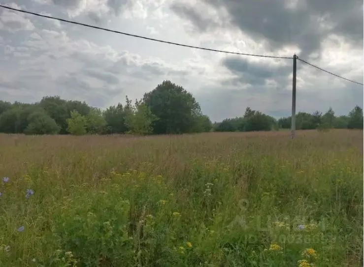 Участок в Московская область, Коломна городской округ, д. Борисово  ... - Фото 1