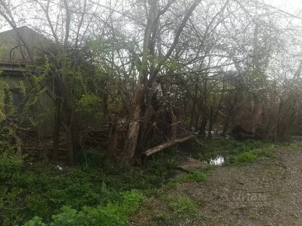 Свободной планировки кв. Адыгея, Майкоп Рабочая ул., 7 (44.5 м) - Фото 1