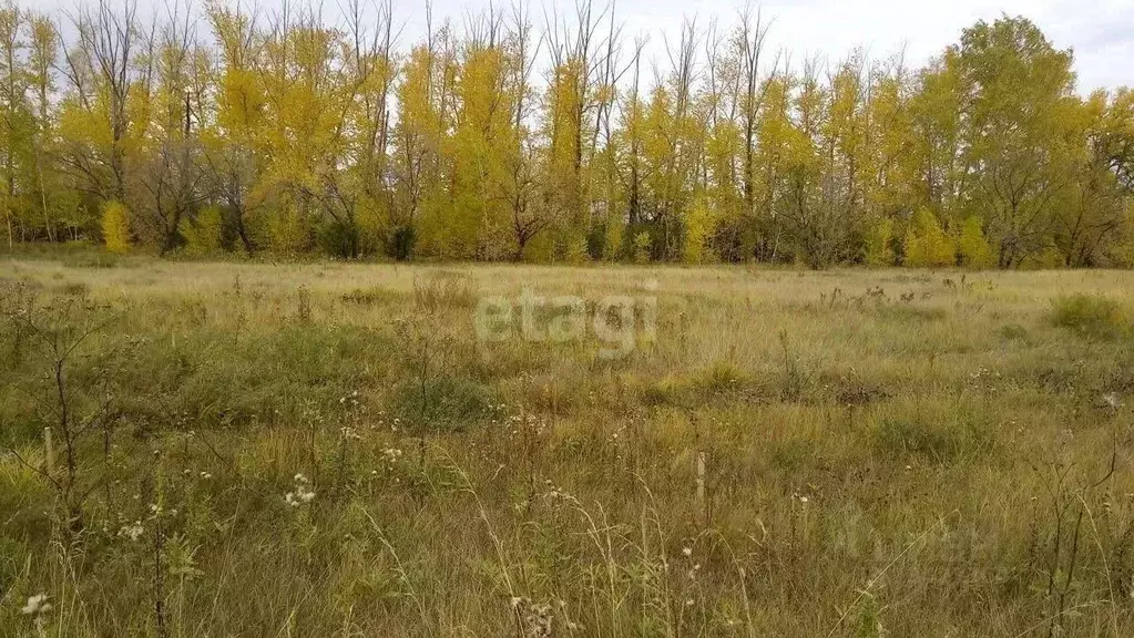 Участок в Курганская область, с. Кетово ул. Рябиновая (12.0 сот.) - Фото 1