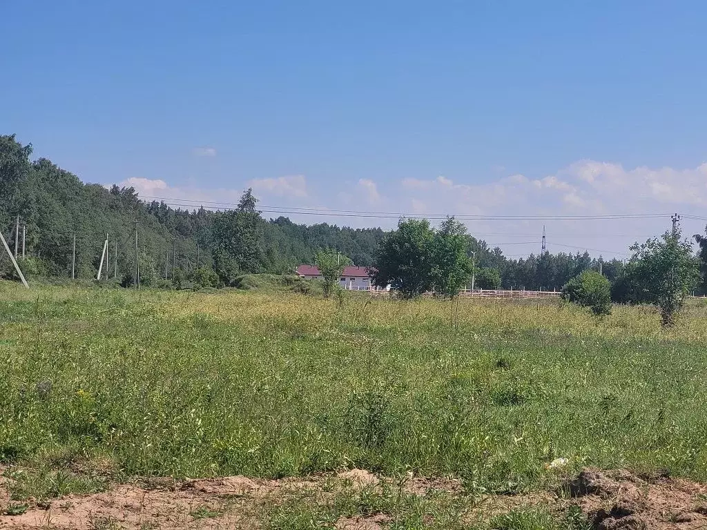 Участок в Ленинградская область, Ломоносовский район, Горбунковское ... - Фото 2