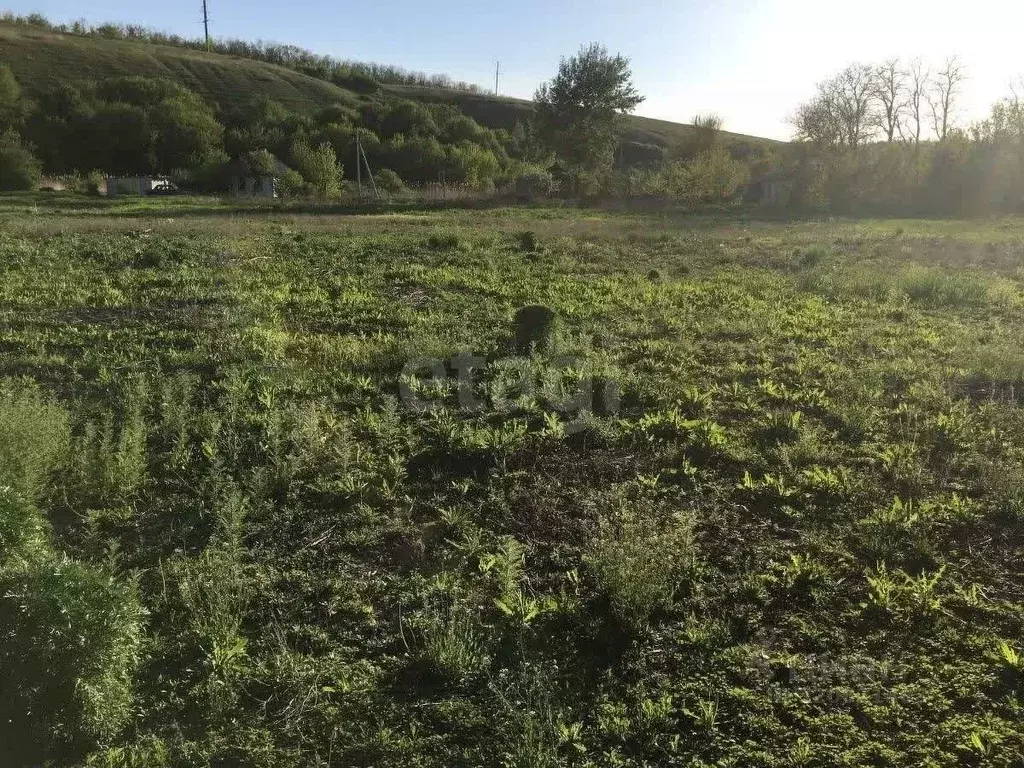 Дом в Ростовская область, Родионово-Несветайское с/пос, Павленков хут. ... - Фото 1
