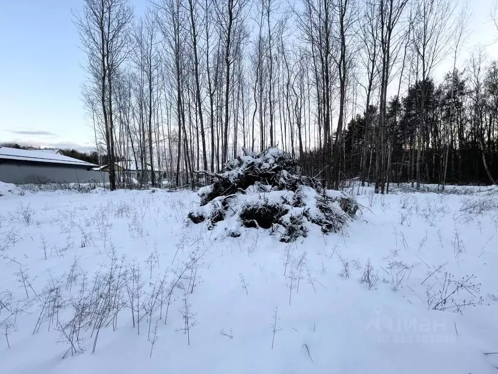 Участок в Московская область, Ногинск Богородский городской округ,  ... - Фото 0