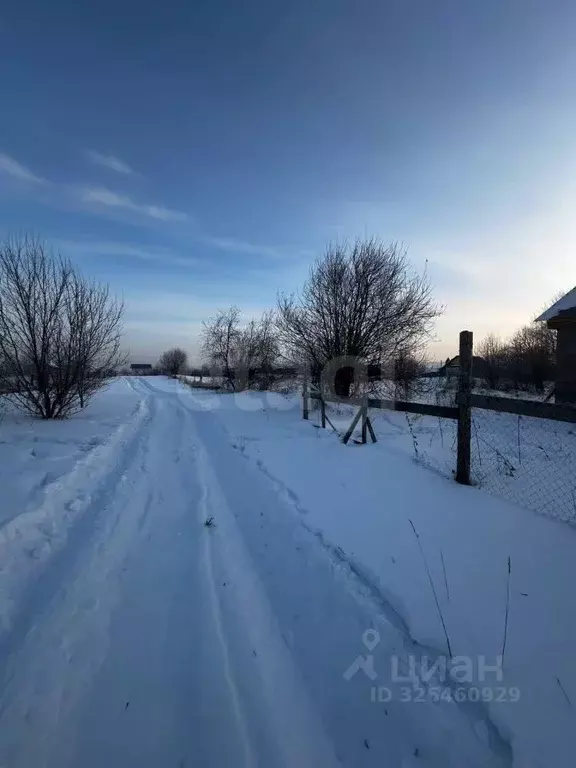 Участок в Алтай, Майминский район, с. Подгорное Центральная ул. (8.0 ... - Фото 1