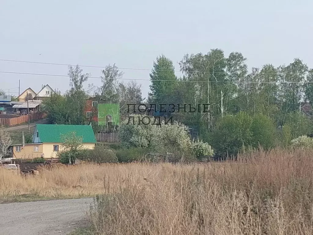 Участок в Курганская область, Курган  (250.0 сот.) - Фото 1