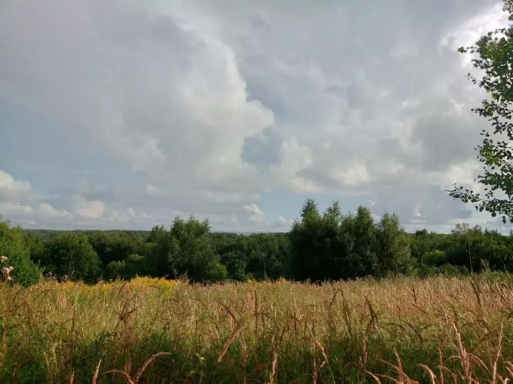 Участок в Ярославская область, Переславль-Залесский городской округ, ... - Фото 0