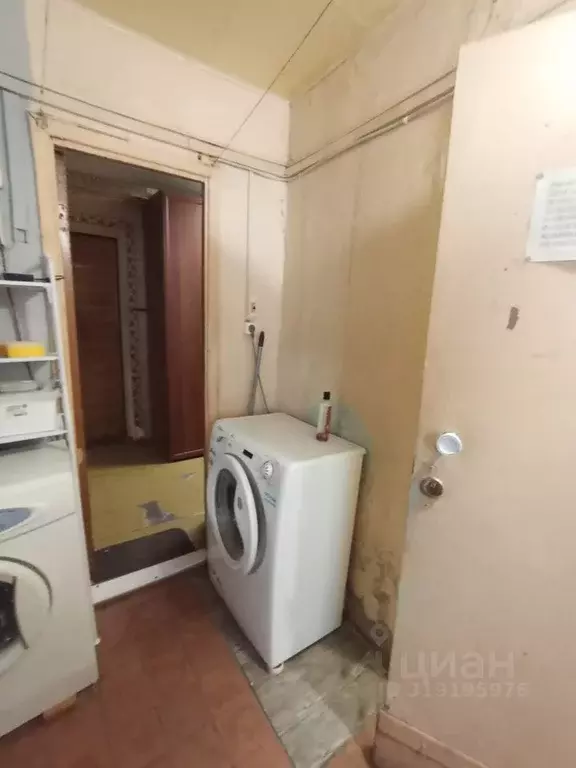 Комната Санкт-Петербург ул. Курчатова, 6 (20.0 м) - Фото 0