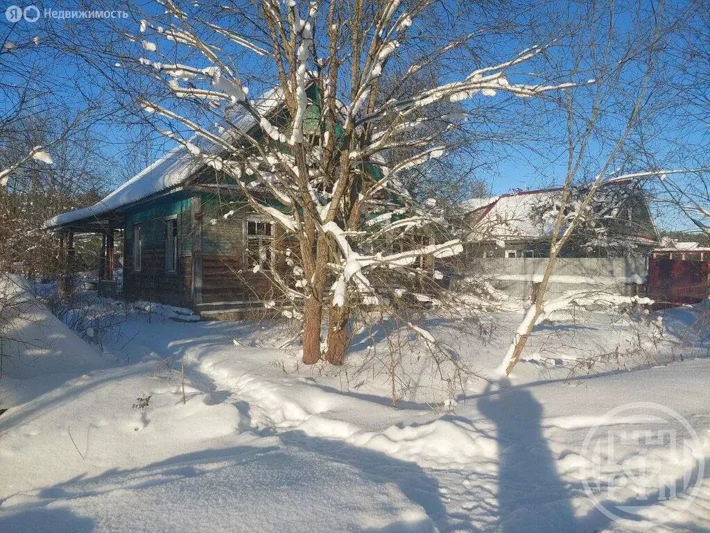 Дом в городской посёлок Вырица, Советская улица (42 м) - Фото 2