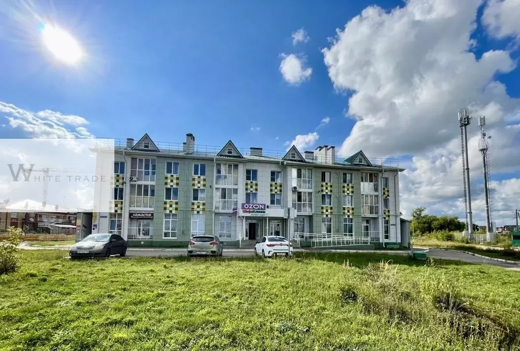 Помещение свободного назначения в Татарстан, Лаишевский район, с. ... - Фото 1