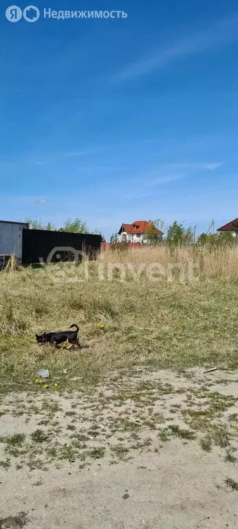 Участок в Калининградская область, Гурьевский муниципальный округ, ... - Фото 1