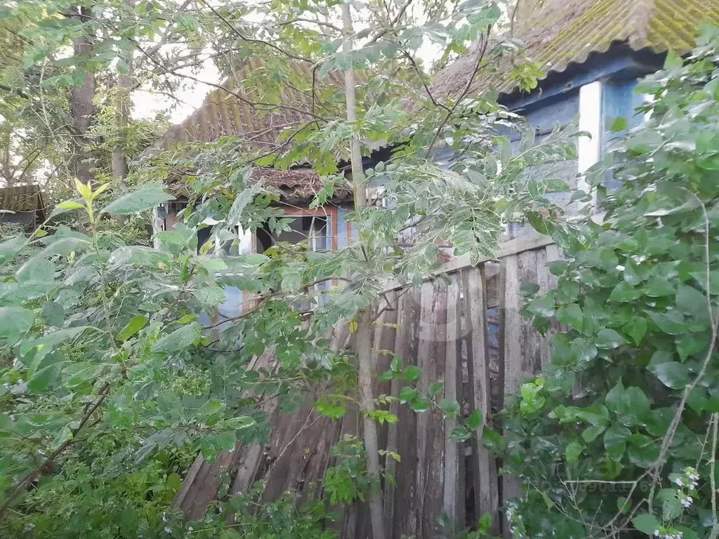 Дом в Белгородская область, Корочанский район, Новослободское с/пос, ... - Фото 0