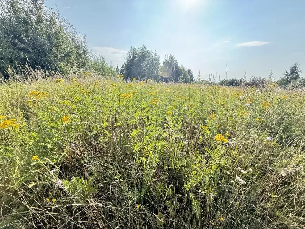 Участок в Московская область, Кашира городской округ, д. Тимирязево  ... - Фото 1