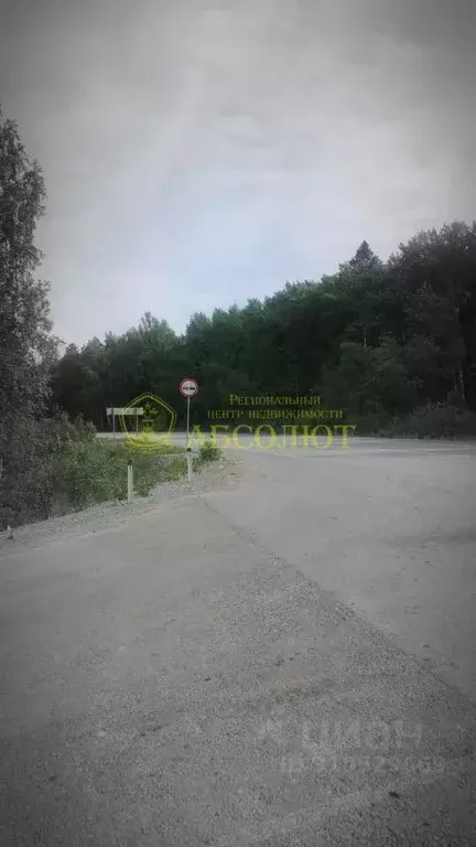 Участок в Свердловская область, Дегтярск ул. Зубарево (8.0 сот.) - Фото 1