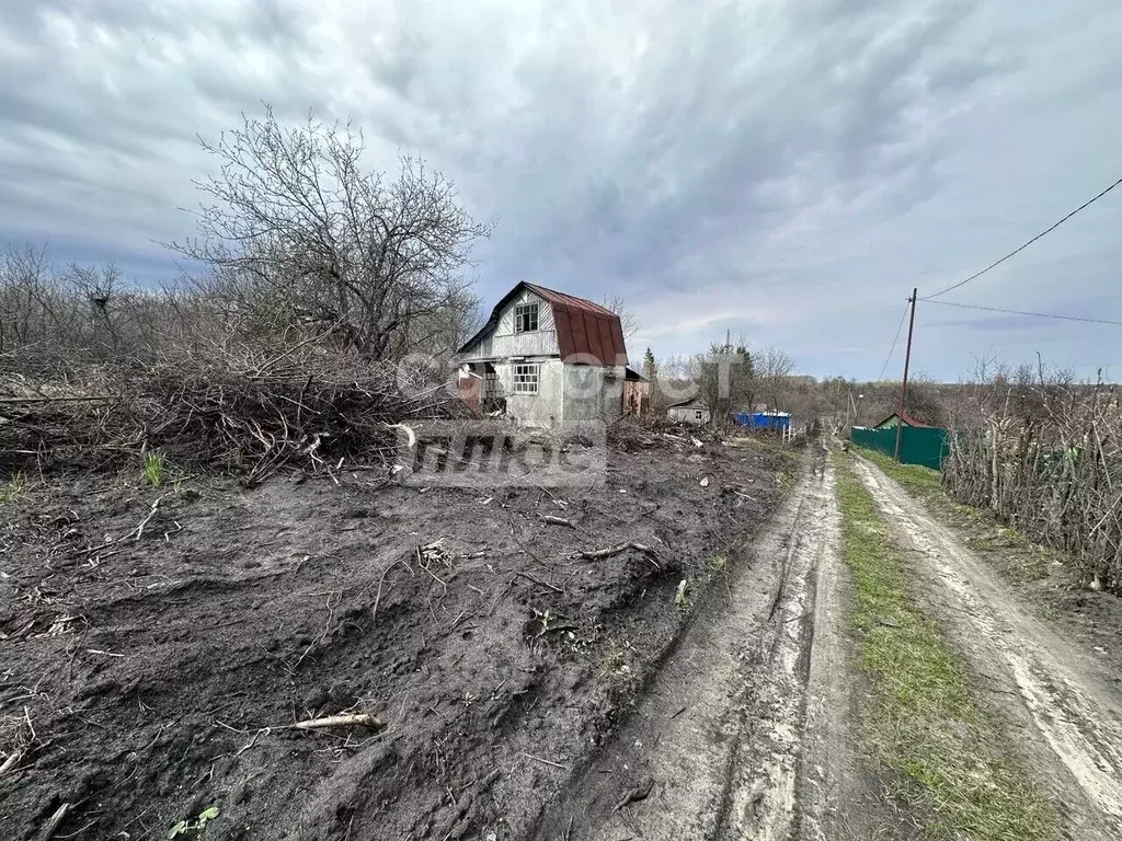 Участок в Пензенская область, Пенза Березка садовое дачное ... - Фото 2