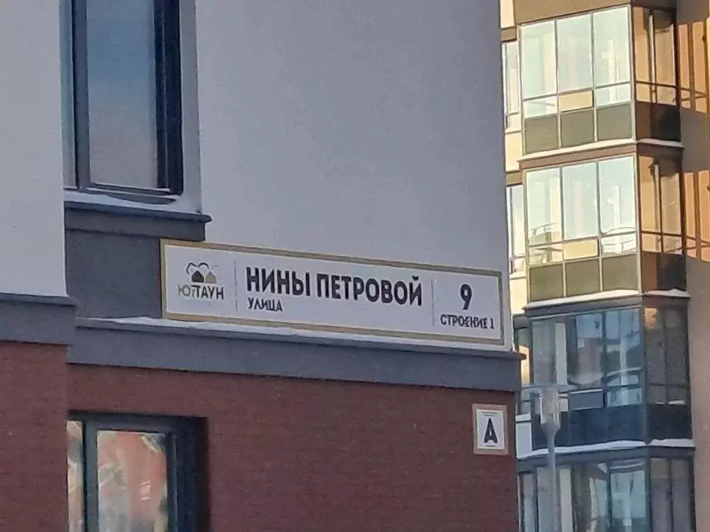 1-к кв. Санкт-Петербург пос. Шушары, ул. Нины Петровой, 9 (25.0 м) - Фото 1