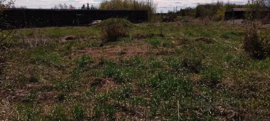 Участок в Пермский край, Пермский муниципальный округ, с. Фролы ул. ... - Фото 2