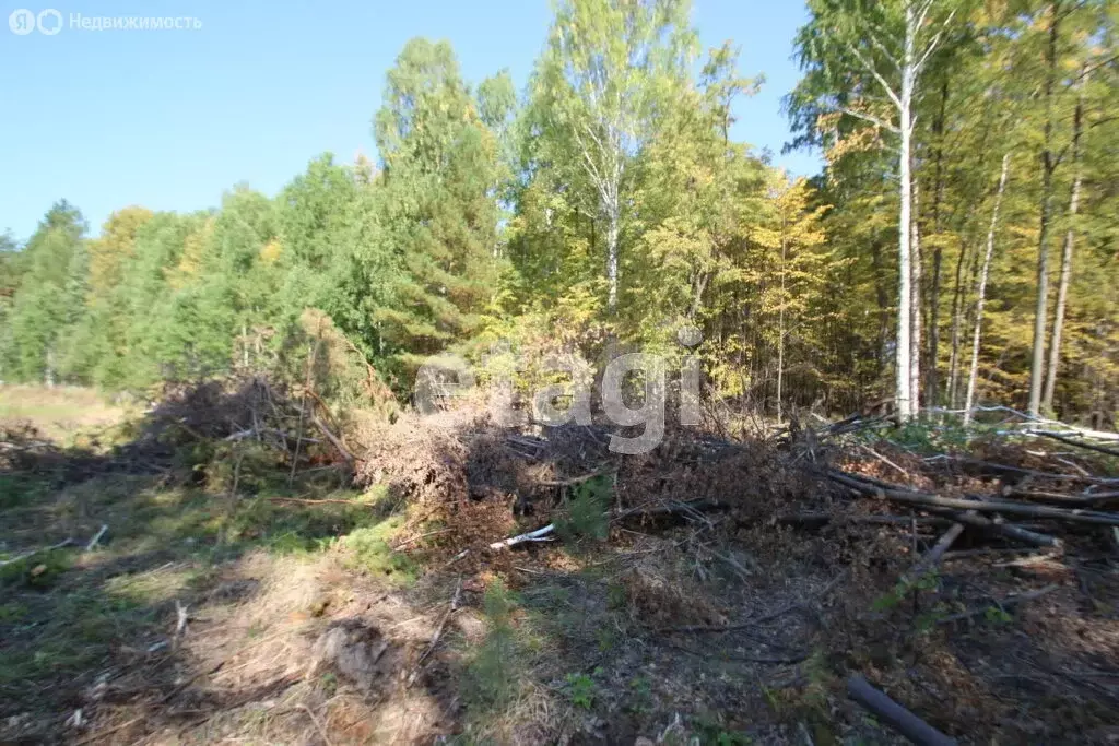 Участок в село Тюнево, Новогодняя улица (10.88 м) - Фото 1