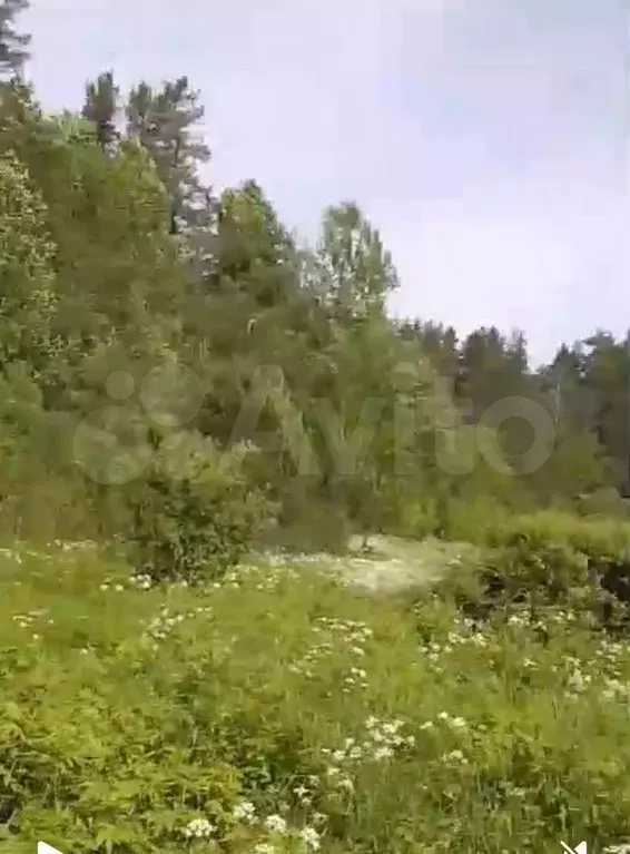 Участок 2,7 га (СНТ, ДНП) - Фото 1