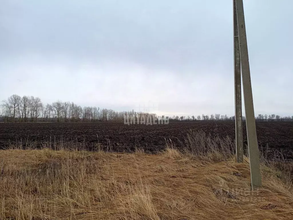 Участок в Воронежская область, с. Новая Усмань ул. Конструкторов, 105 ... - Фото 1