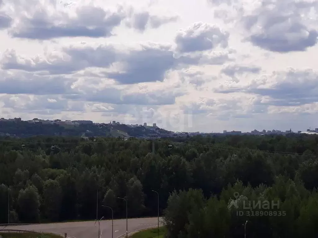 2-к кв. Нижегородская область, Бор ул. Луначарского, 216к2 (58.0 м) - Фото 1