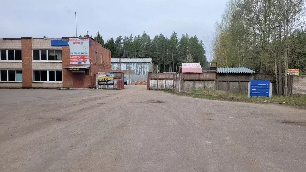 Помещение свободного назначения в Ленинградская область, Луга Шалово ... - Фото 0
