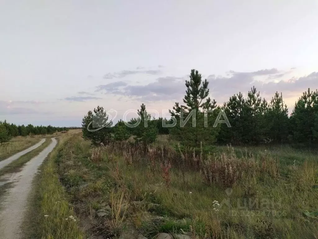 Участок в Свердловская область, Слободо-Туринский район, ... - Фото 2