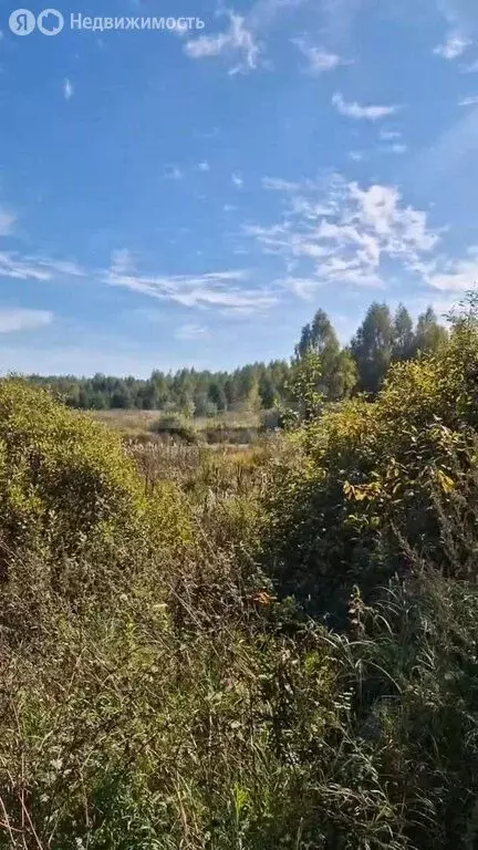 Участок в Нижегородская область, муниципальный округ Навашинский, село ... - Фото 2