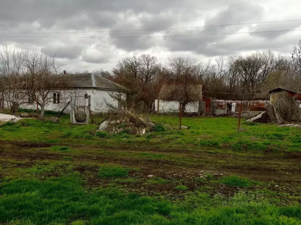Дом в Волгоградская область, Урюпинский район, Россошинское с/пос, ... - Фото 1