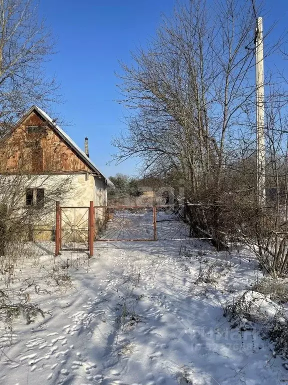 Участок в Тульская область, Дубенский район, Воскресенское с/пос, ... - Фото 2