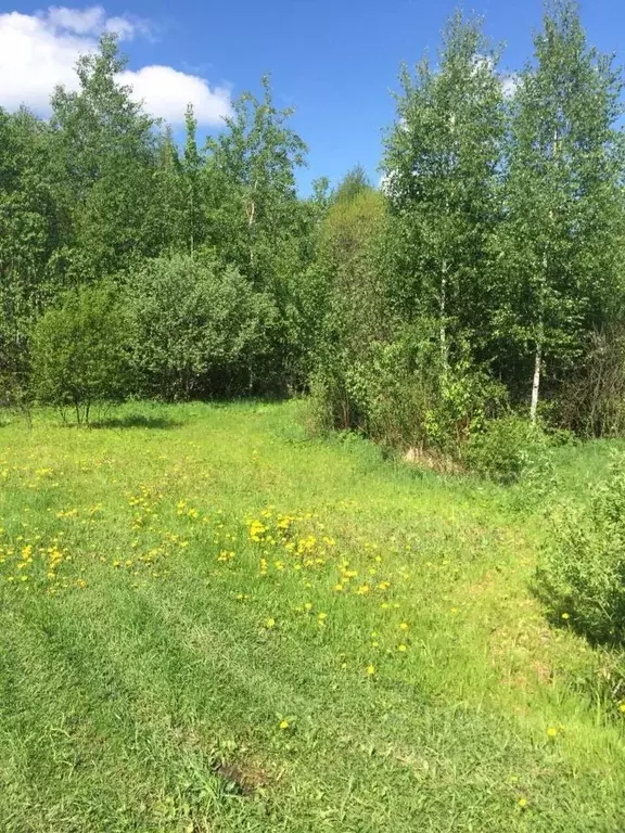 Участок в Тверская область, Конаковский муниципальный округ, Солнечный ... - Фото 1