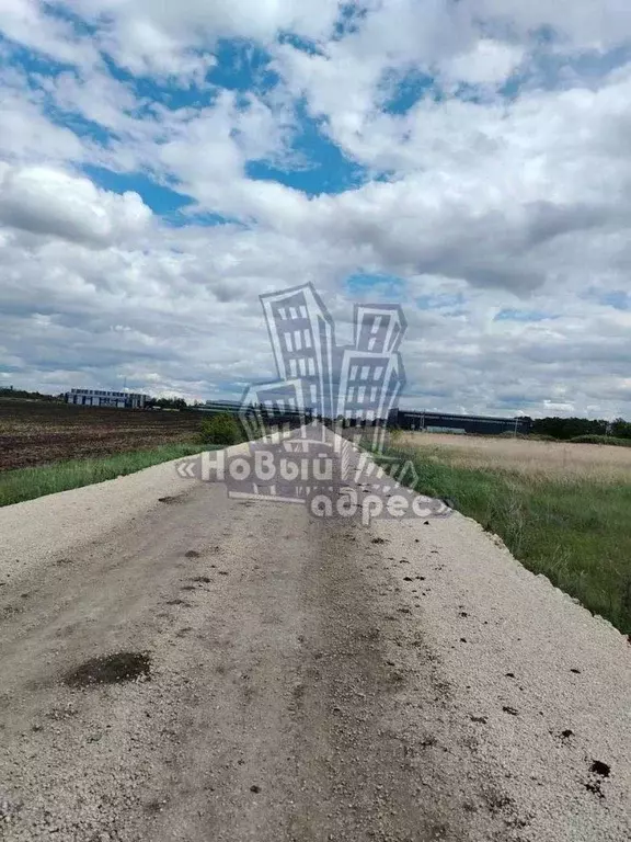 Участок в Воронежская область, Рамонский район, пос. Комсомольский  ... - Фото 2