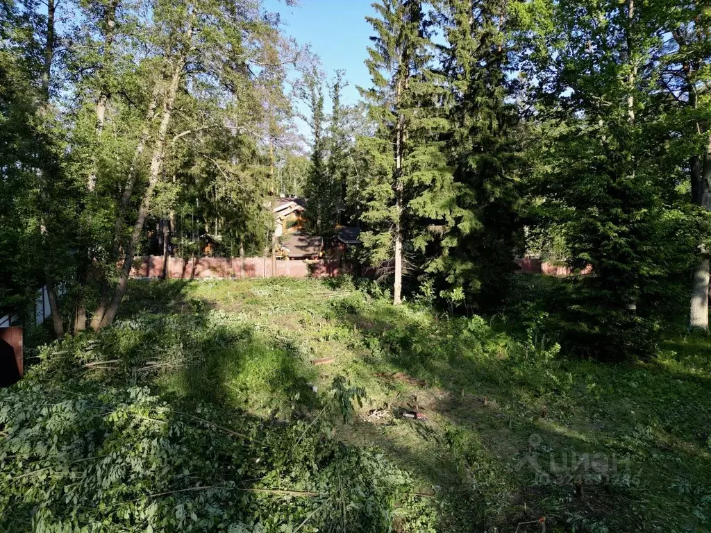 Участок в Санкт-Петербург пос. Репино, пер. 2-й Лесной, 4 (29.19 сот.) - Фото 1