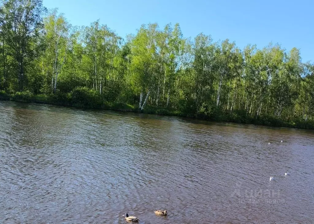 Участок в Ленинградская область, Подпорожский район, Винницкое с/пос, ... - Фото 2