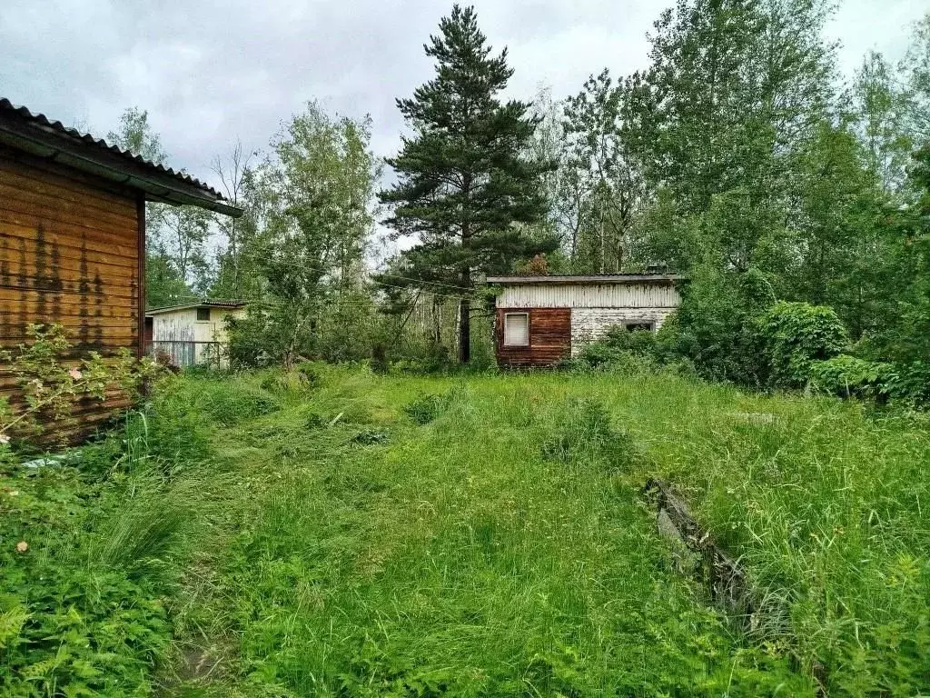 Дом в Владимирская область, Киржачский муниципальный округ, Ромашки-1 ... - Фото 1