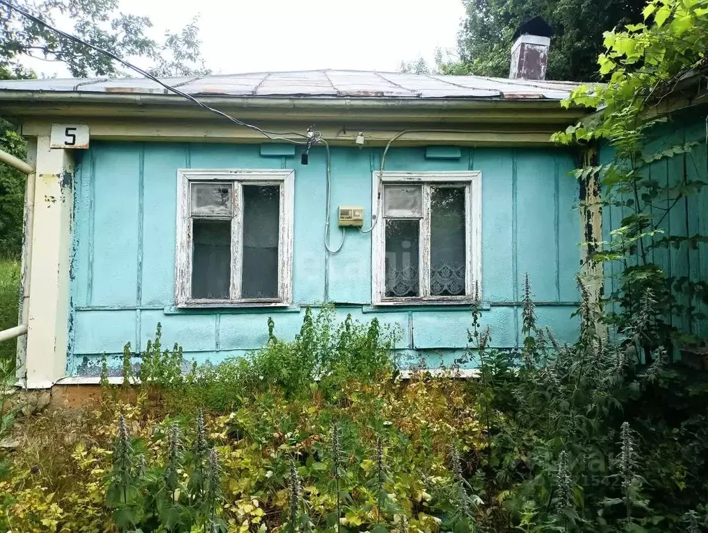 Дом в Воронежская область, Хохольский район, с. Костенки Горная ул., 5 ... - Фото 1