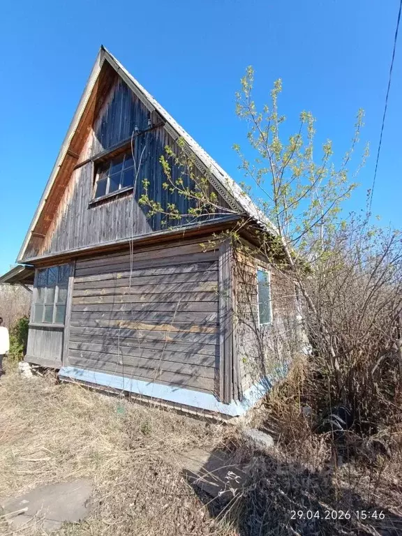 Дом в Курганская область, Курган Золотая Нива СНТ,  (25 м) - Фото 1