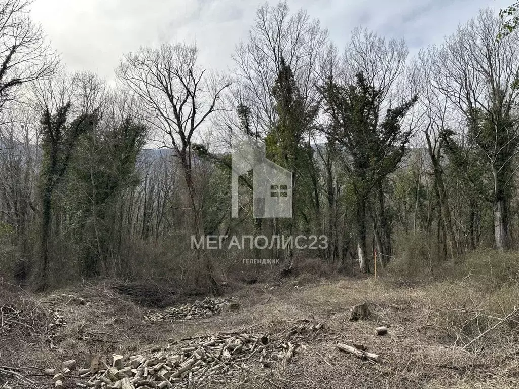 Участок в Краснодарский край, Геленджик городской округ, с. Адербиевка ... - Фото 1