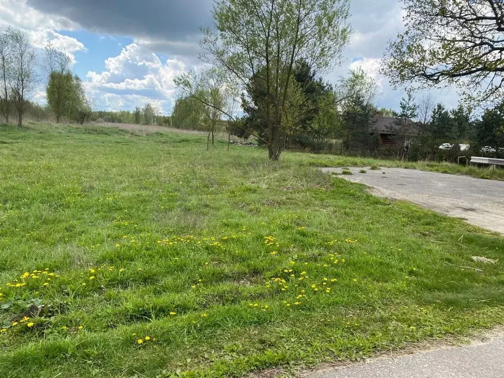 Участок в Московская область, Орехово-Зуевский городской округ, д. ... - Фото 0