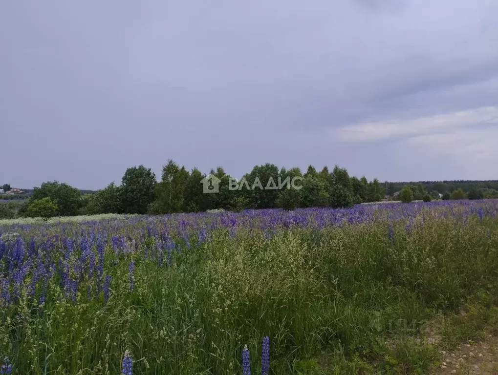 Участок в Владимирская область, Ковровский район, Доброград ... - Фото 0