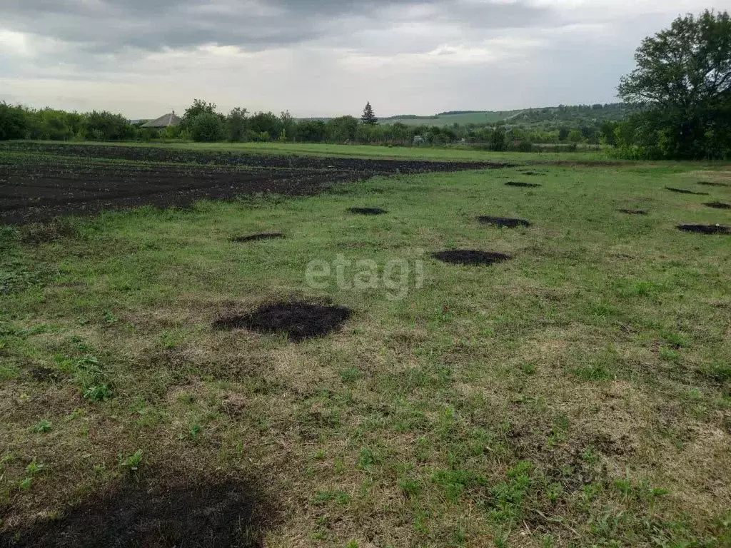 Участок в Белгородская область, Губкинский городской округ, с. ... - Фото 1