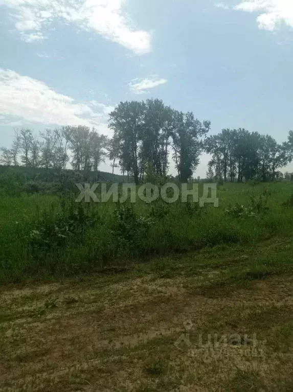 Участок в Новосибирская область, Новосибирский район, Кубовинский ... - Фото 1